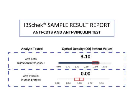 cdi-ibschek-sample-report-featured